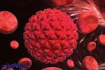 مقابله با سرطان های ریه و پانکراس با داروهای تازه